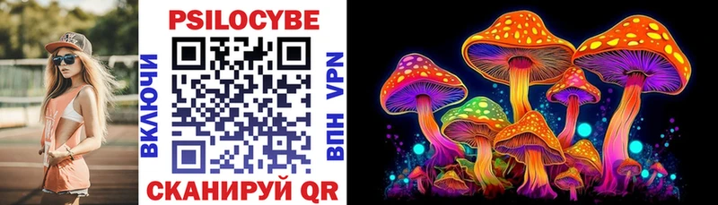 Купить где Черногорск Псилоцибиновые грибы Psilocybine cubensis